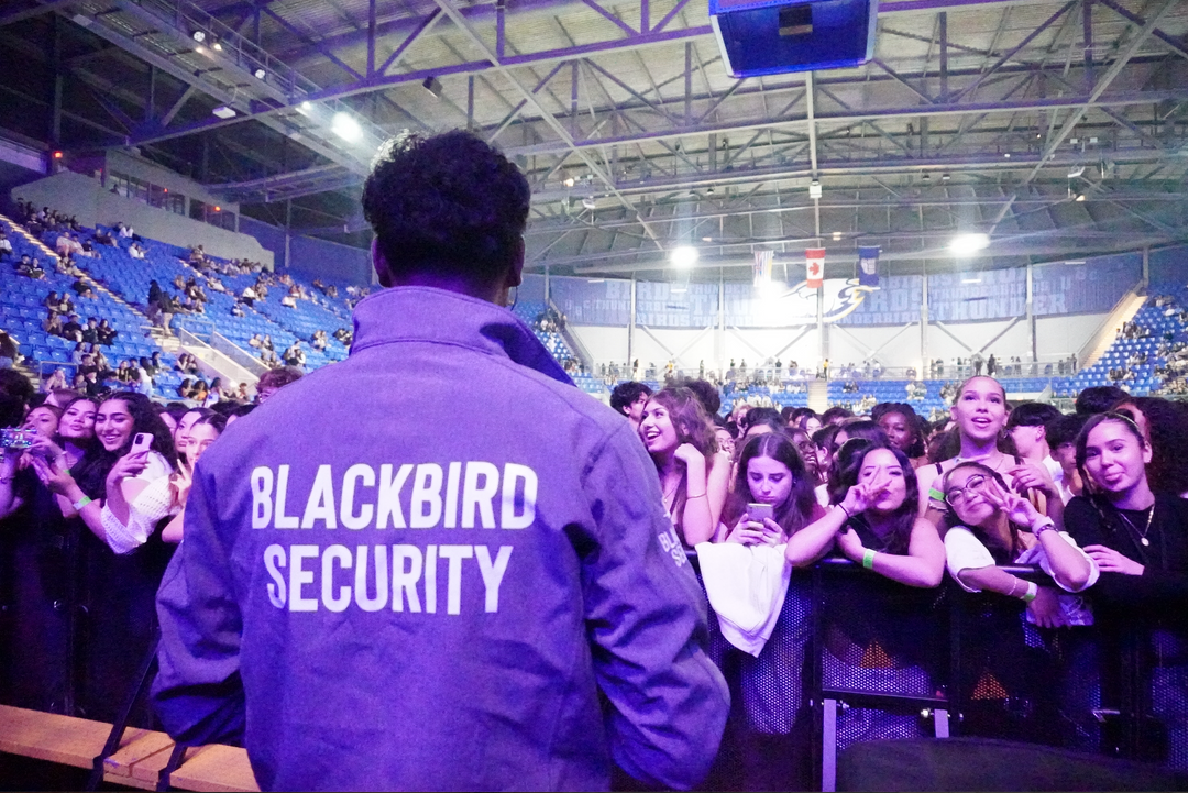 Blackbird Security event security guard stands in front of a concert crowd.