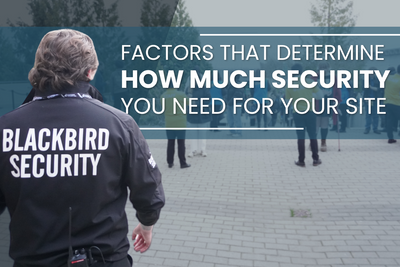 Factors That Determine How Much Security You Need For Your Site