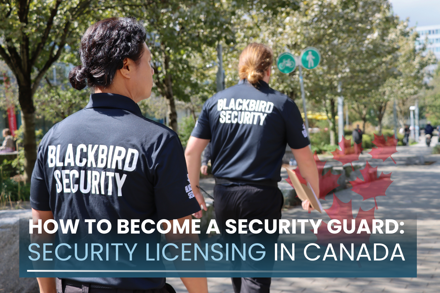 How to become a Blackbird Security guard in Canada