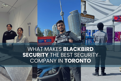 What Makes Blackbird Security The Best Security Company In Toronto?