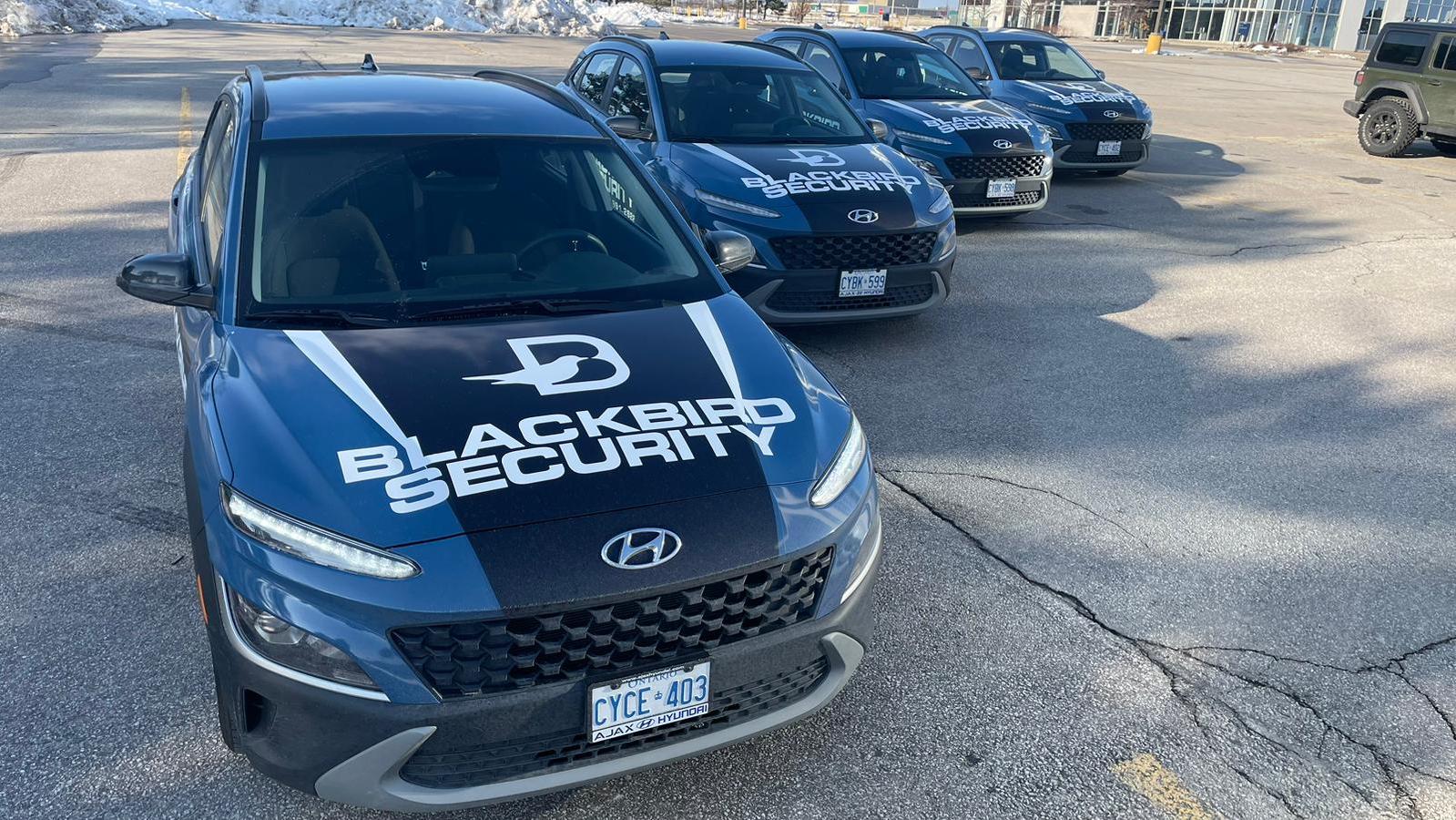 Fleet of Blackbird Security vehicles in a parking lot