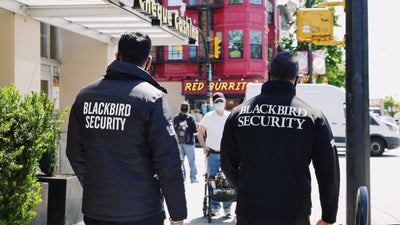 A Closer Look At Blackbird’s Comprehensive Security Services