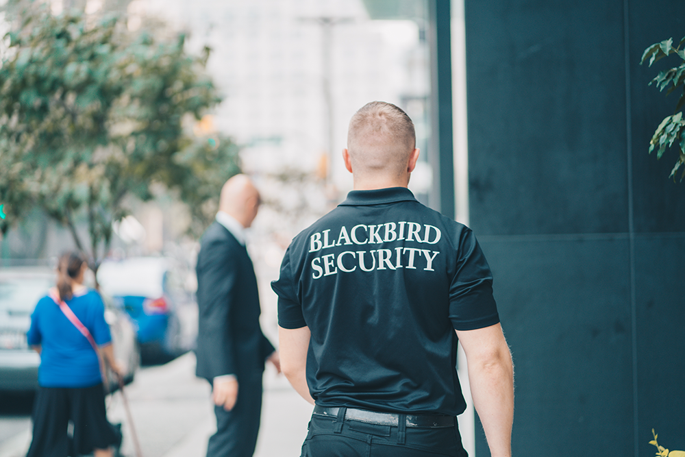 Retail Security Services