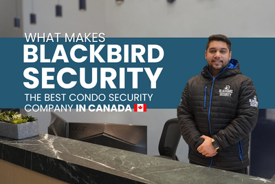 What Makes Blackbird Security The Best Condo Security Company In Canada?