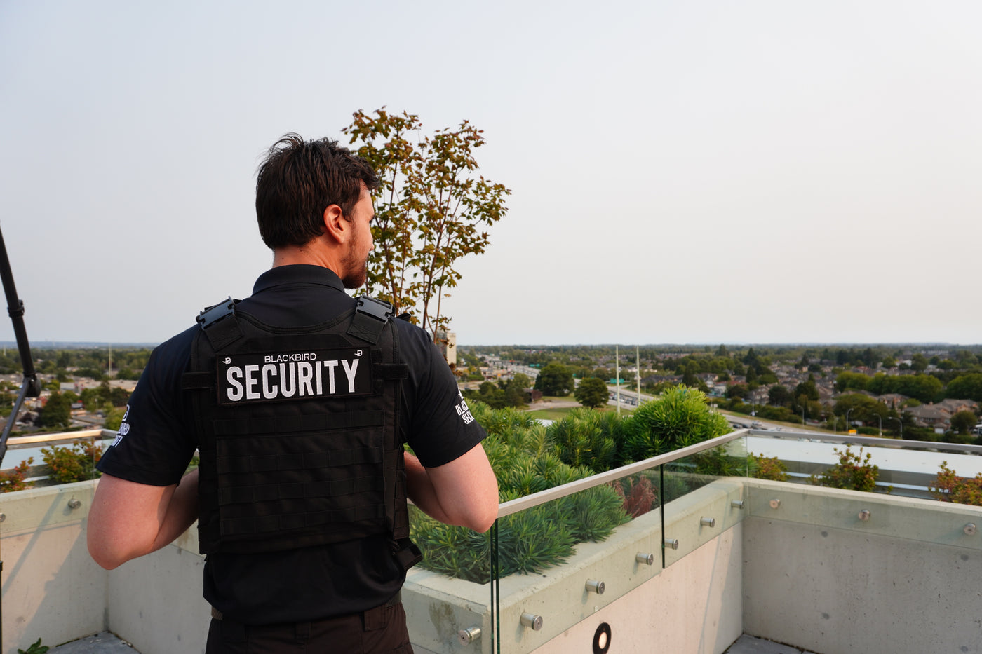 A uniformed security guard stands with his back to the camera as he looks out to a courtyard full of greenery