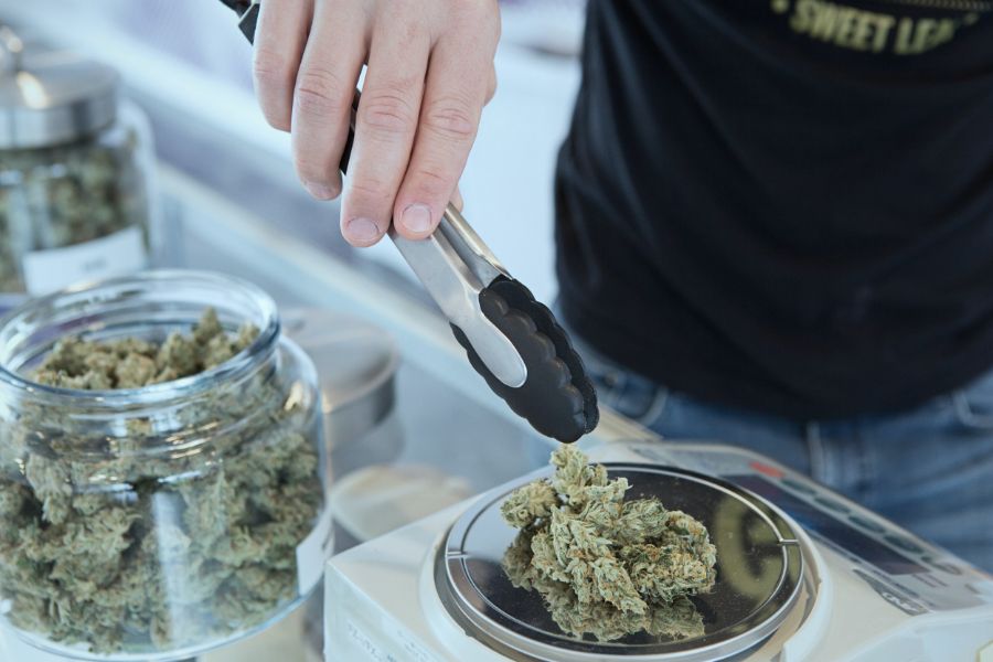 person weighing cannabis on scale