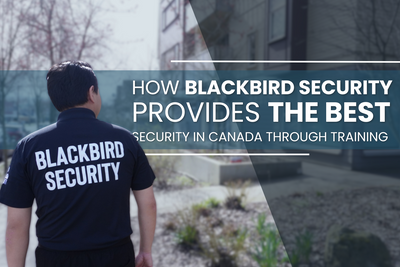 How Blackbird Security Provides The Best Security In Canada Through Training
