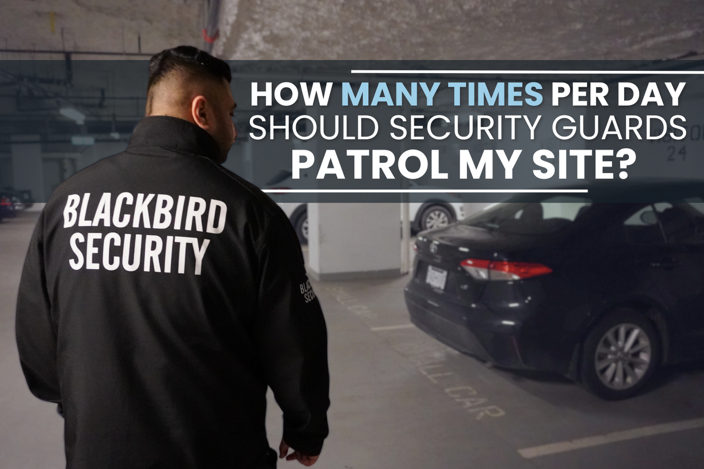 Blackbird Security provides patrol security to clients across Canada