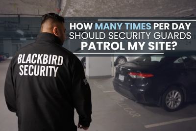 How Many Times Per Day Should Security Guards Patrol My Site?