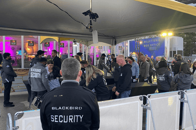 How Much Security Do You Need for an Event?