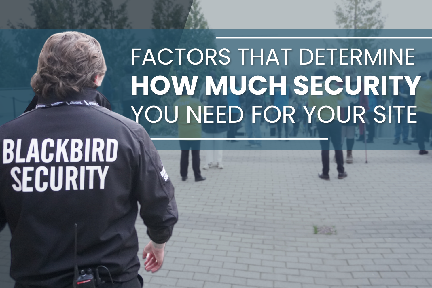 Blackbird Security provides security services to businesses in Canada