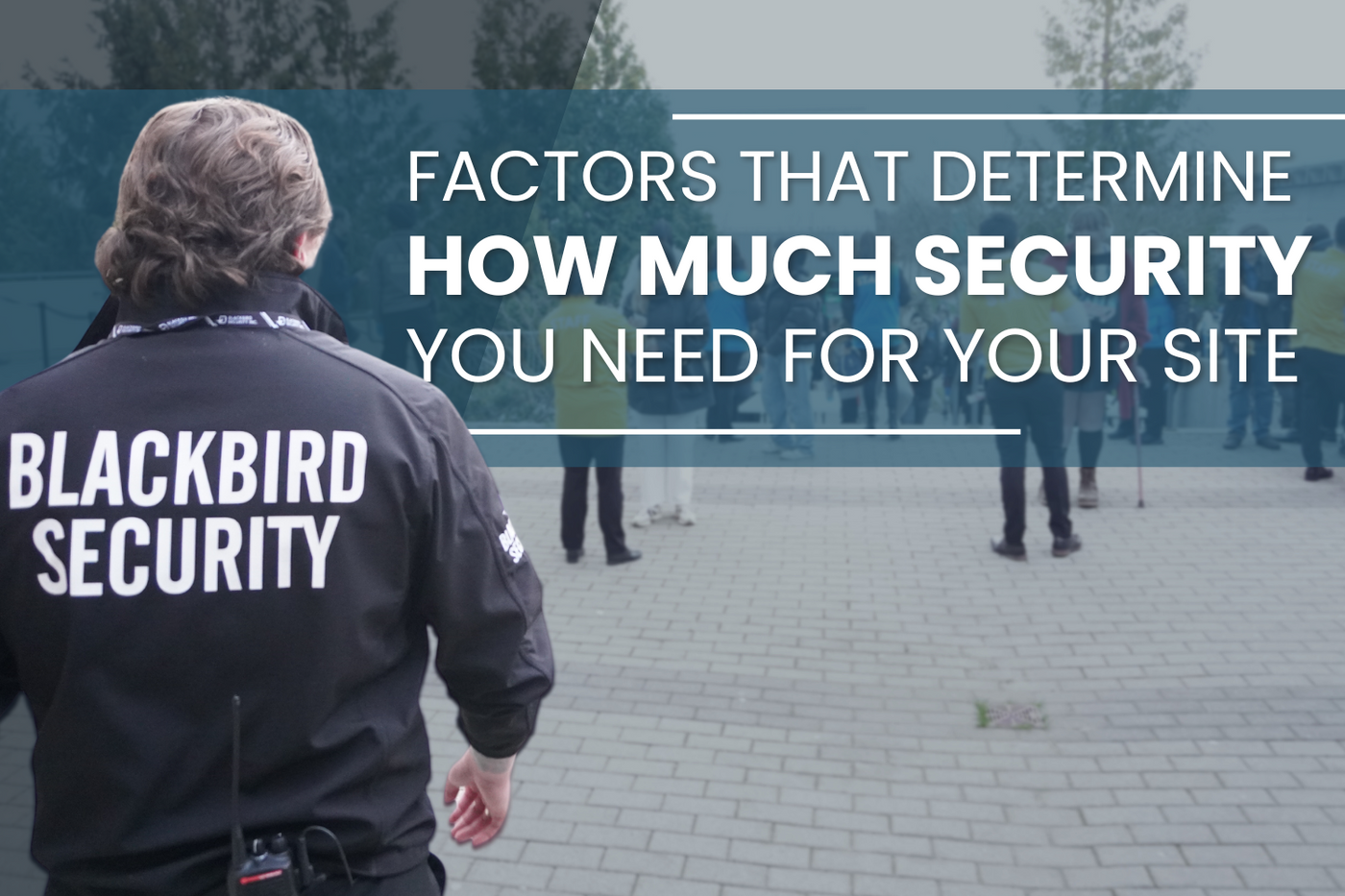 Blackbird Security provides security services to businesses in Canada