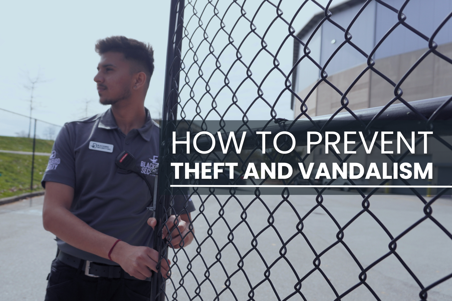 How to Prevent Theft and Vandalism - Blackbird Security