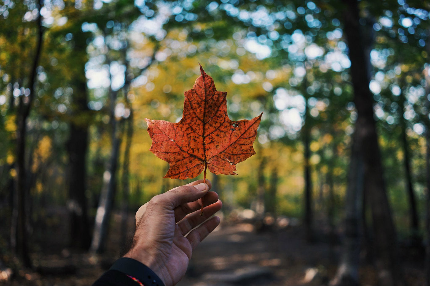 We All Have a Role to Play in Indigenous Reconciliation