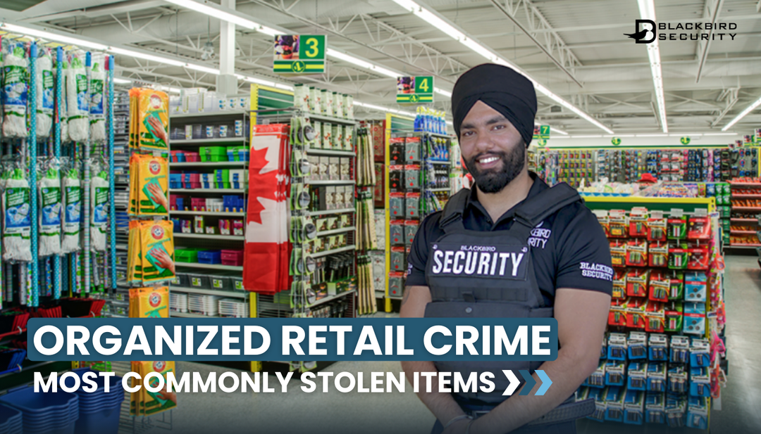 Blackbird security guard in retail location