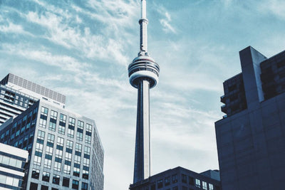 Toronto Concierge Security – A Rapidly Growing Service
