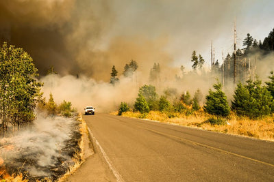 Western Canada Wildfires – Resources and Supports