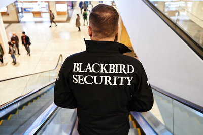 Mall Security – Providing an Essential Service