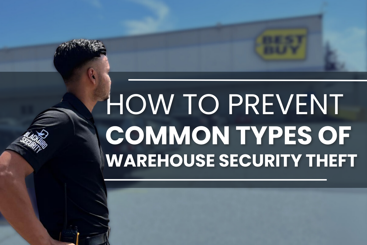 Blackbird Security provides warehouse security to companies in Vancouver Toronto Montreal Canada