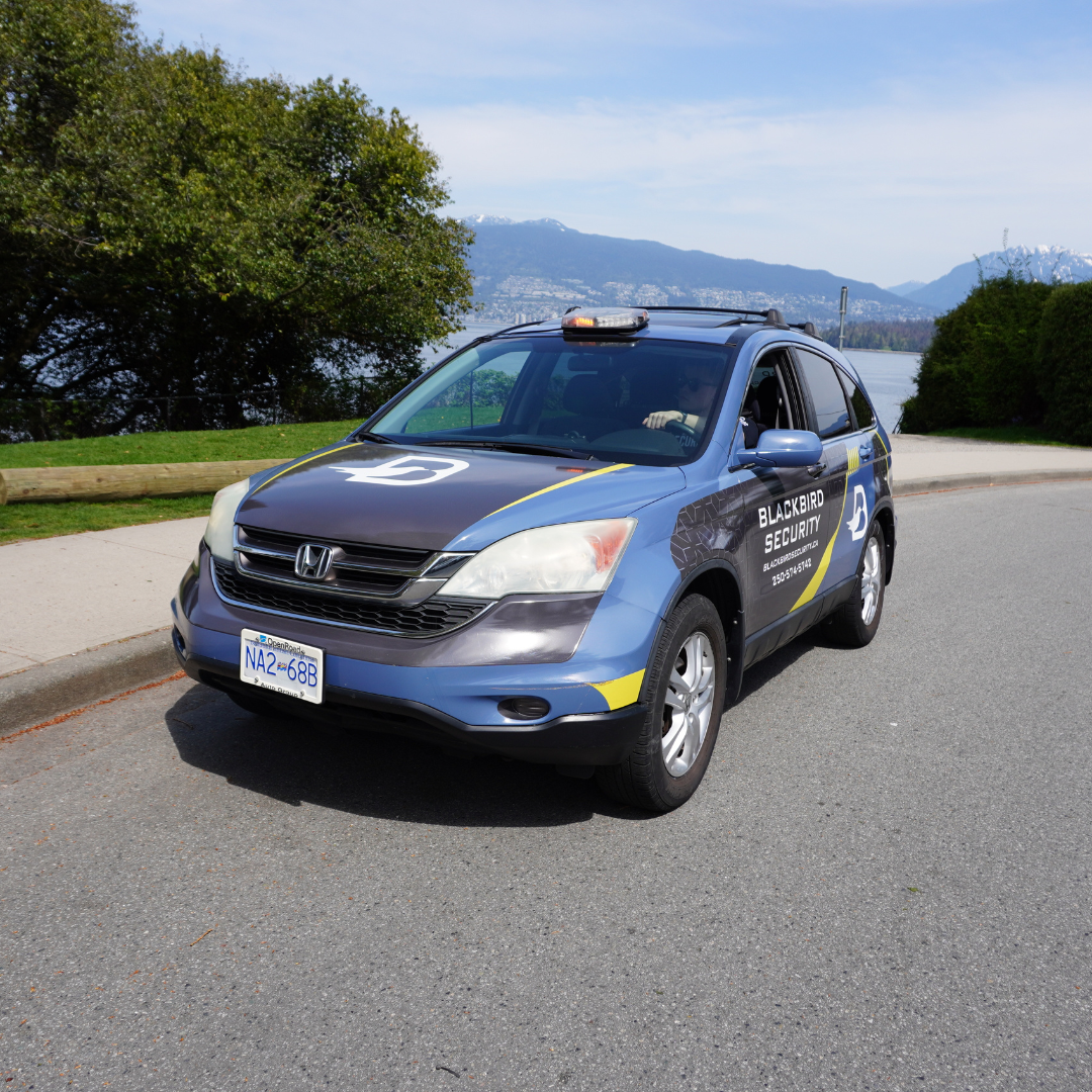 A Blackbird Security vehicle, a blue Honda with Blackbird Security decals