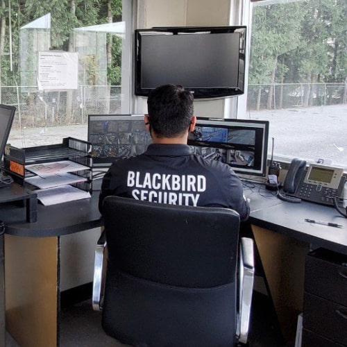 a Blackbird Security guard overviewing several monitors at an access point desk