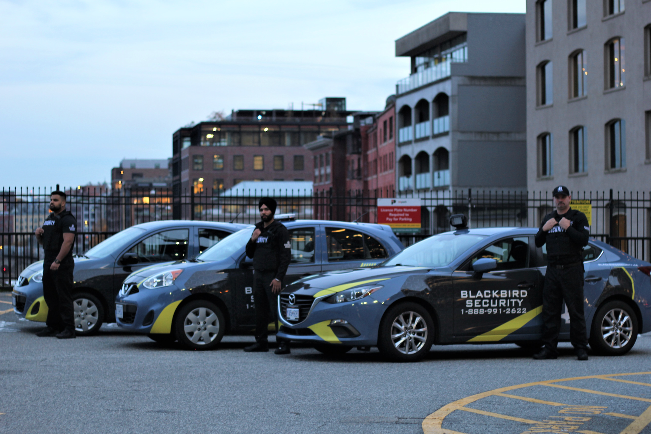 Parking Enforcement